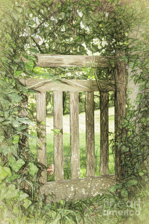 Gate Photograph - Closed by Nature by Elaine Teague