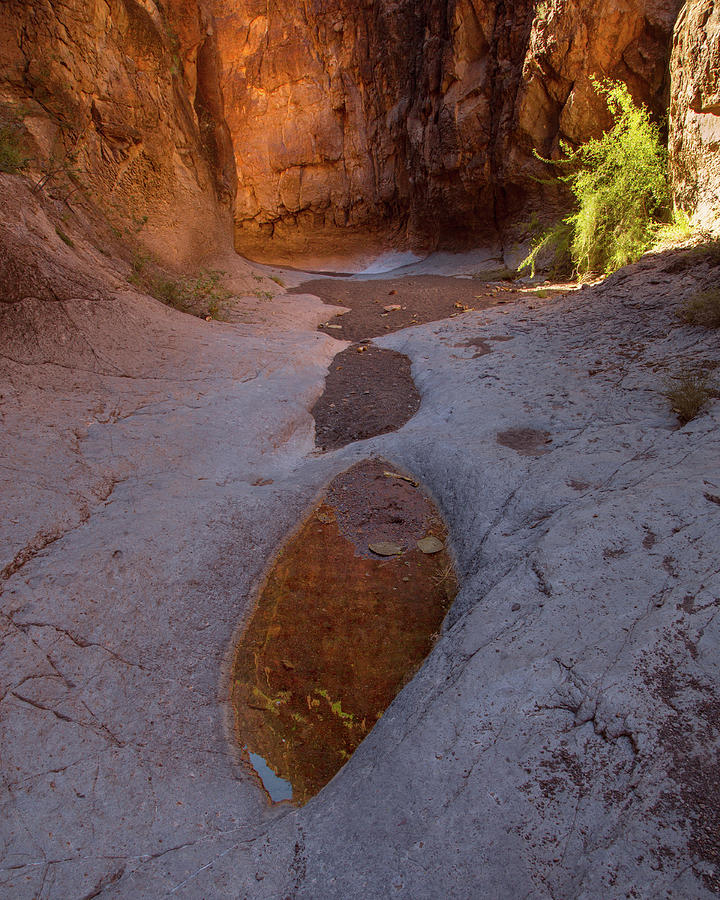 Closed Canyon Reflection Photograph by Mike Schaffner