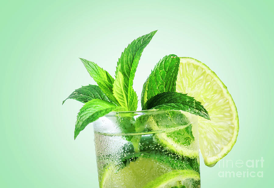 Closeup mojito cocktail with ice isolated over pastel background Photograph by Jelena Jovanovic