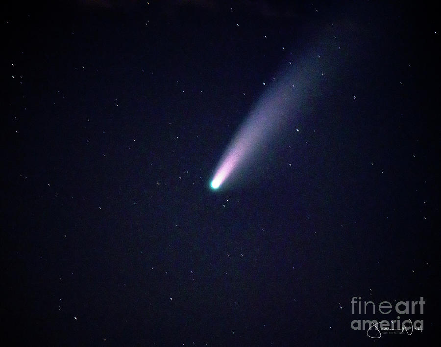 Closeup Neowise Comet Photograph by Joanne West