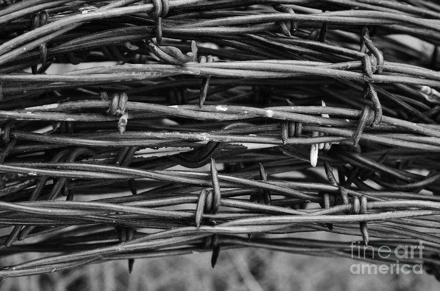 Closeup of Barbed Wire Photograph by Kae Cheatham