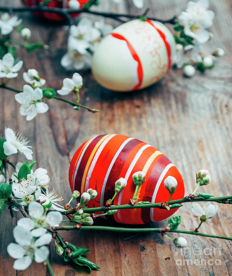 Closeup of colorful painted easter eggs and cherry blossom branc Photograph by Jelena Jovanovic