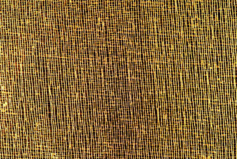 Closeup Of Golden Organza Macro Mesh Texture Photograph by Severija Kirilovaite