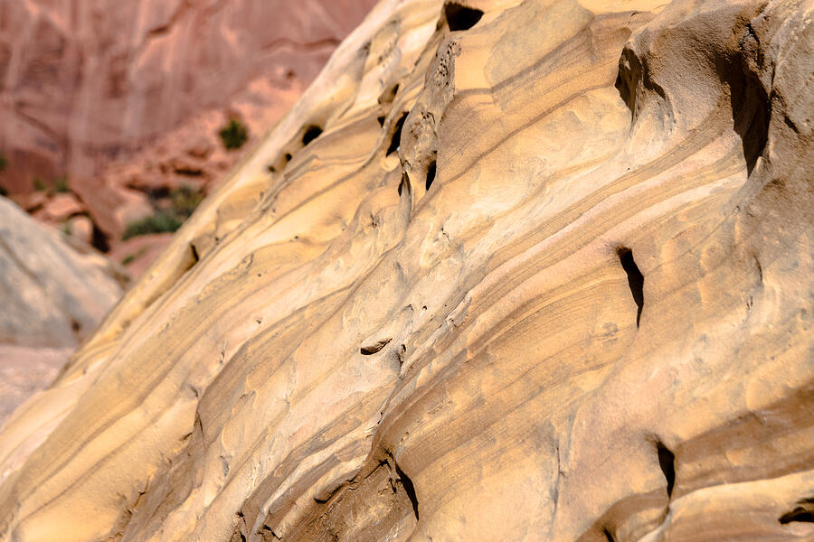 Closeup of layered sandstone, Capitol Reef Photograph by Raphael Schneider