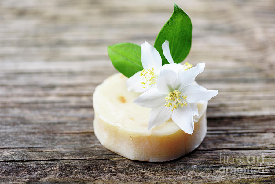 Vintage Photograph - Closeup of organic handmade natural soap with goat milk and jasm by Jelena Jovanovic