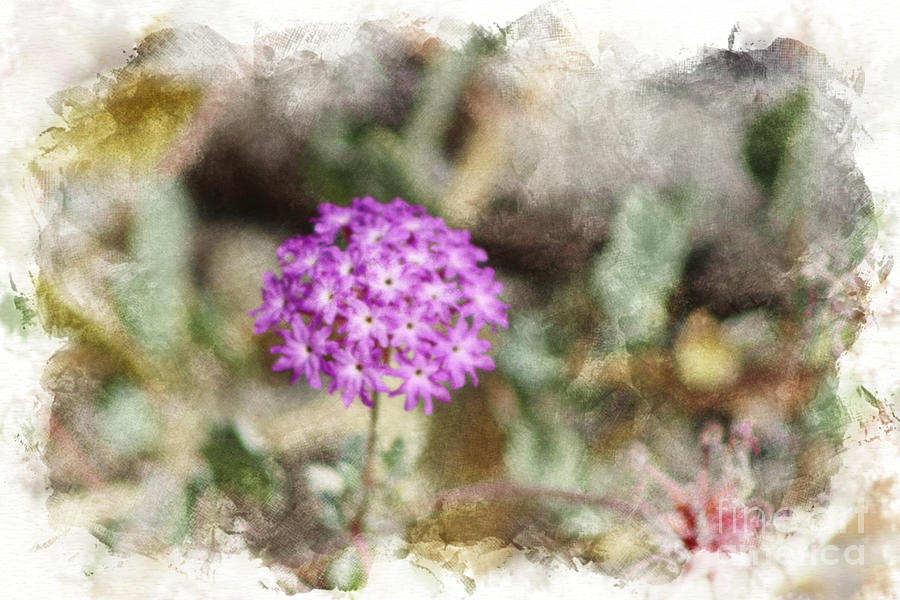 Closeup of Purple Verbena  Digital Watercolor Coachella Valley Wildlife Preserve Photograph by Colleen Cornelius