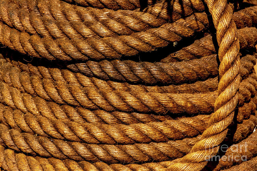 Abstract Photograph - Closeup of ropes under the sunlight at daytime by Bernard Jaubert