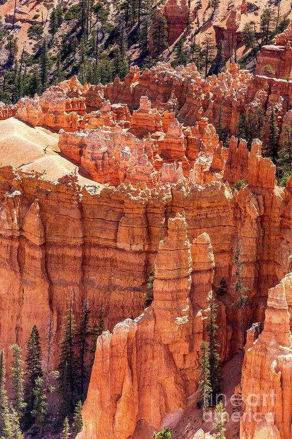 Closeup of the Hoodoos, unique and natural sandstone rock formations of Bryce Canyon National Park Photograph by Jane Rix
