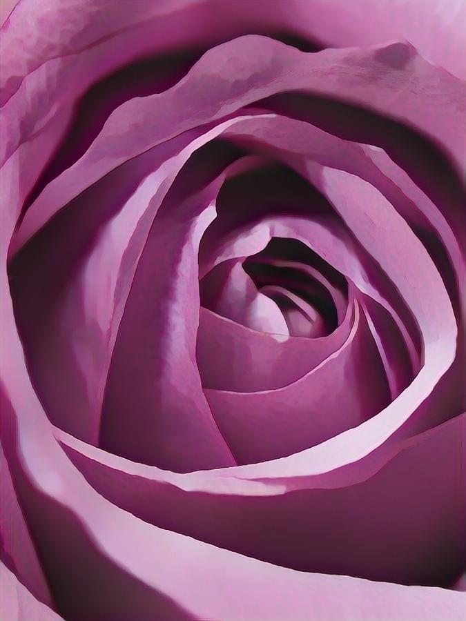 Rose Digital Art - CloseUp Rose by Kobra Kryptic