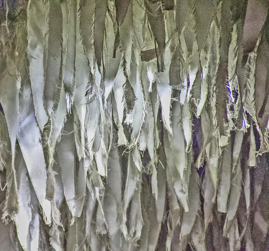 cloth strips rags? whites and grays side lighting St Louis April 2015 2 482020 6146 Photograph by David Frederick