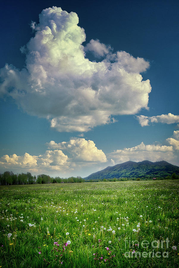 Cloud 9 Photograph by Edmund Nagele FRPS