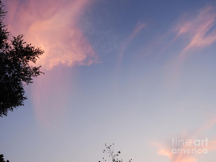 Cloud Anomalies Circling Tree Photograph by Richard Thomas