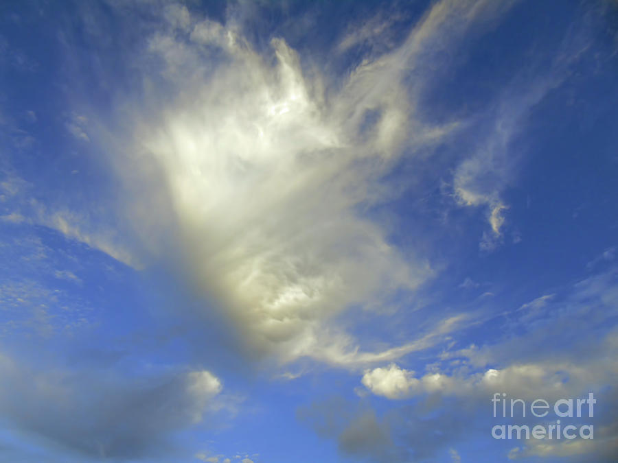 Cloud Art Photograph by D Hackett