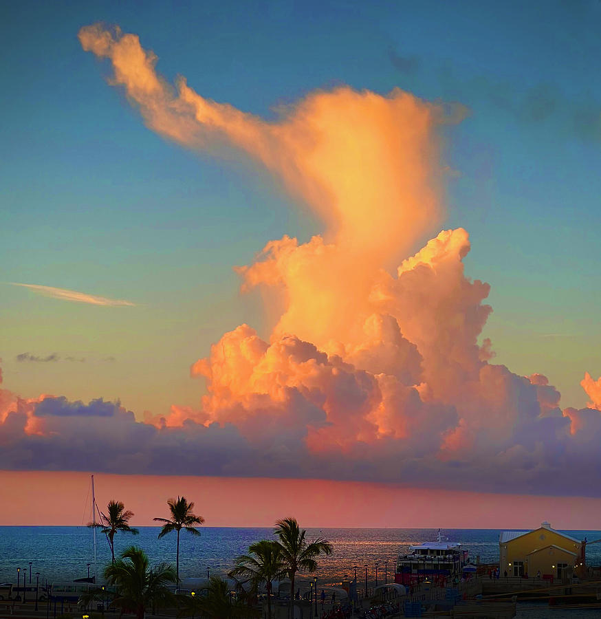 Cloud Elephant Photograph by Gary Greer