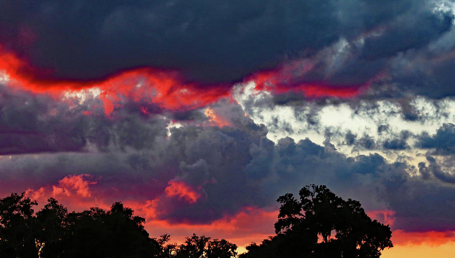 Cloud Fire Photograph by Gina Fitzhugh