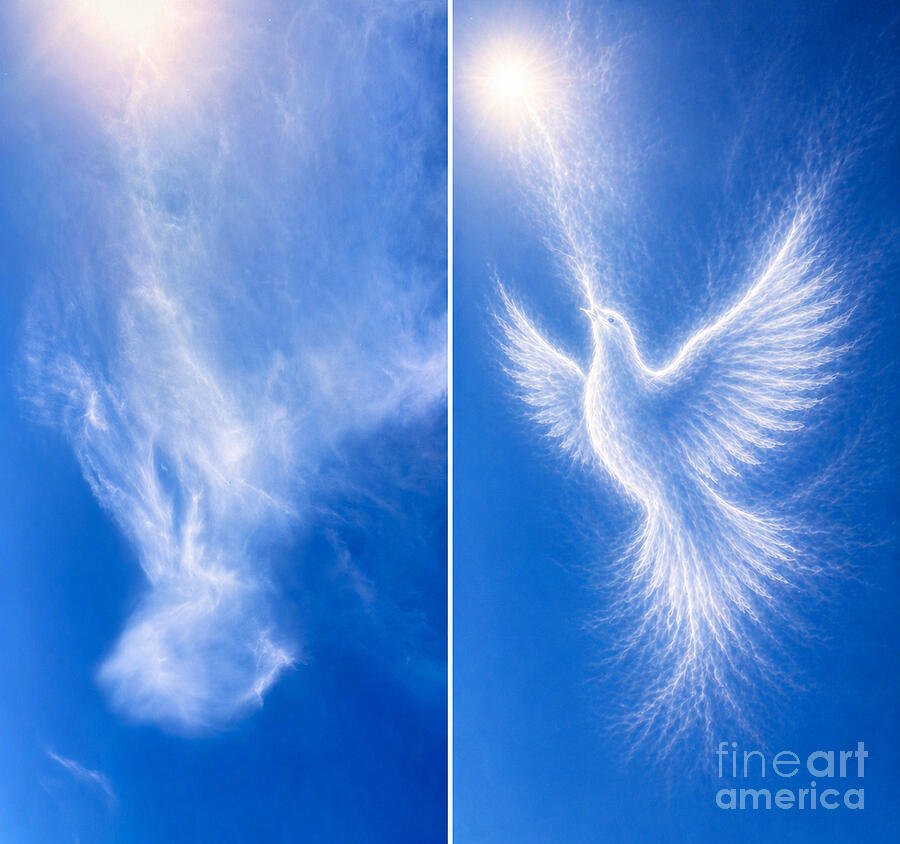 Cloud Formations Resembling a Phoenix Photograph by SAM Photonra - Fine ...