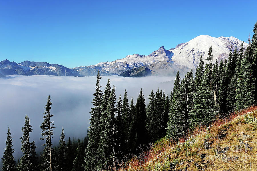 Cloud Inversion Photograph by Sylvia Cook