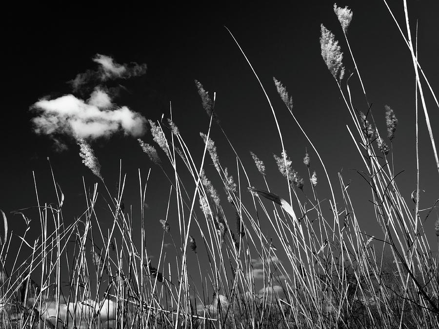 Black And White Photograph - Cloud Launch by David Oakill