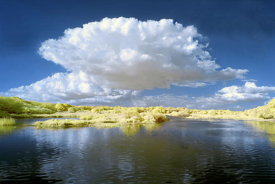 Cloud on a Lake Photograph by Jon Glaser