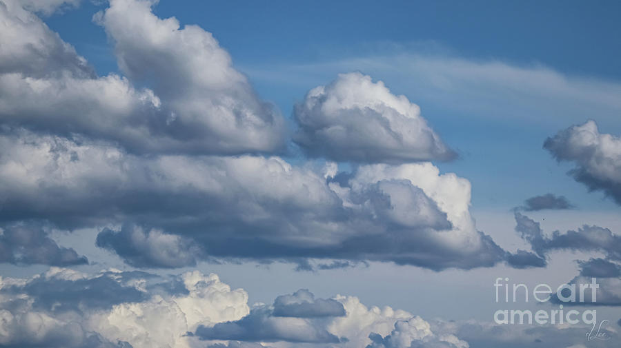 Spring Photograph - Cloud Ships in the Sky by D Lee