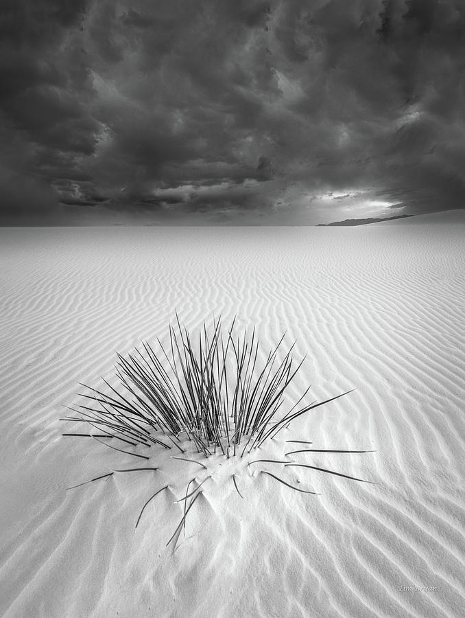 Black And White Photograph - Cloud Surge over White Sands by Tim Bryan