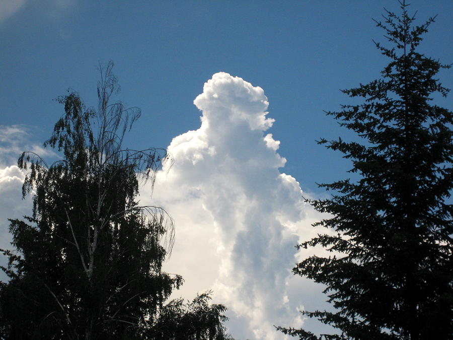 Cloud Wonder Photograph by Kathy Bassett
