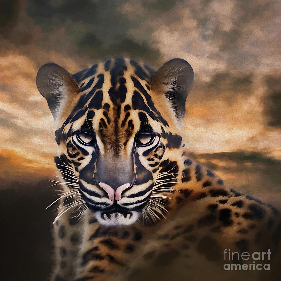 Clouded Leopard Portrait - 2 Digital Art by Philip Preston