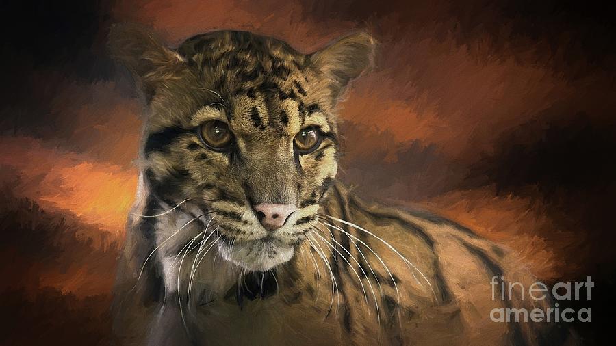 Clouded Leopard Portrait Animal Artwork Digital Art by Philip Preston
