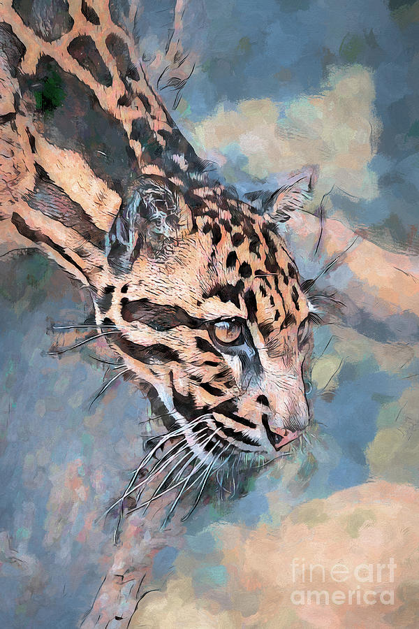 Clouded Leopard Portrait Photograph by Philip Preston