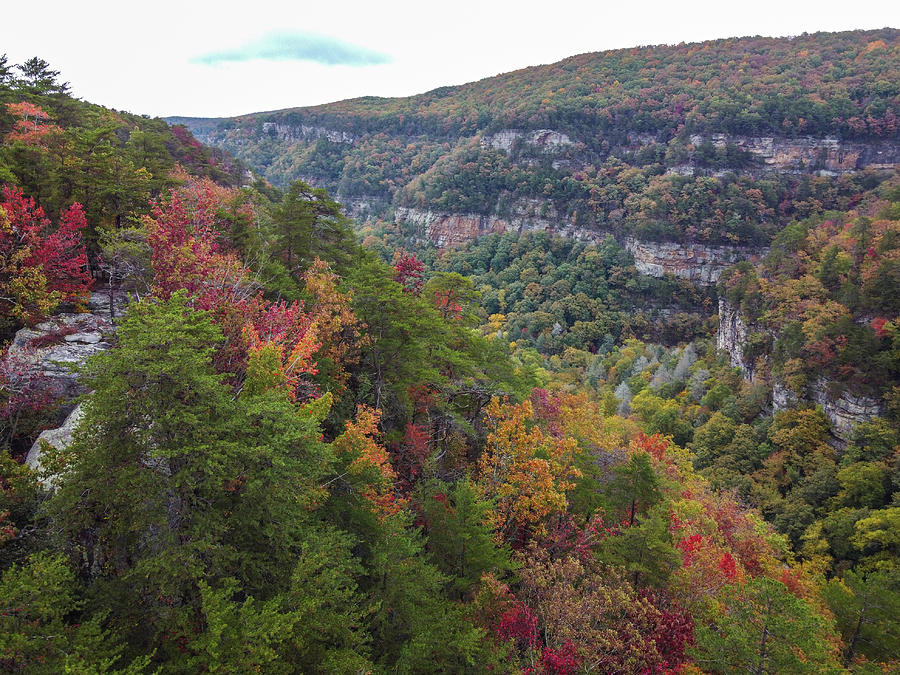 Cloudland Canyon Colors Photograph by Isoneedphoto By Andrew Keller