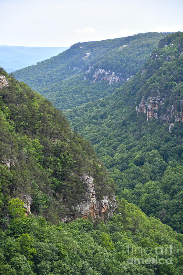 Cloudland Canyon State Park 2 Photograph by Phil Perkins