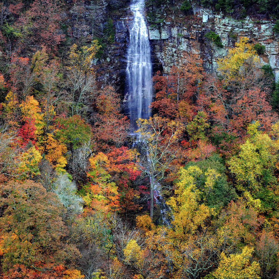 Cloudland Falls in the Fall Photograph by George Taylor