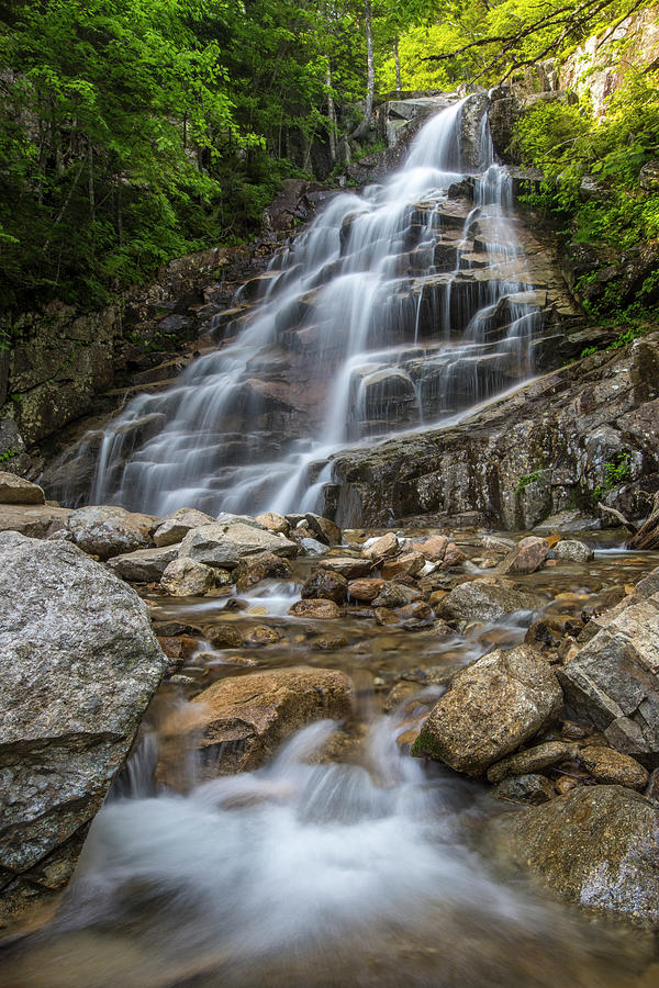 Cloudland Falls Summer Sun Photograph by White Mountain Images