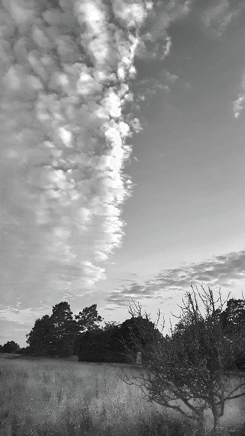 Clouds above black and white Photograph by Elaine Berger