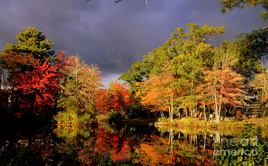 Fall Photograph - Clouds and Color by Lennie Malvone