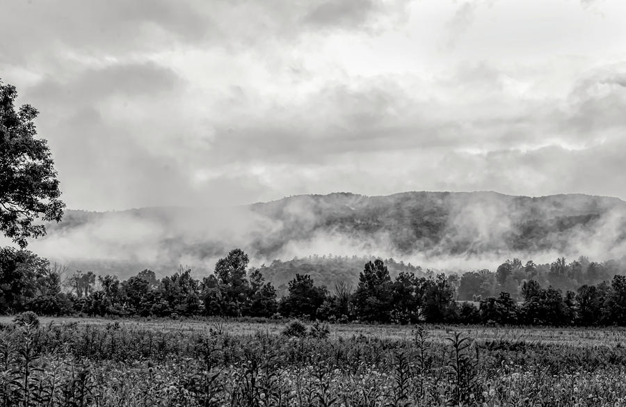 Clouds and fog at Cades cove Photograph by Dan Friend