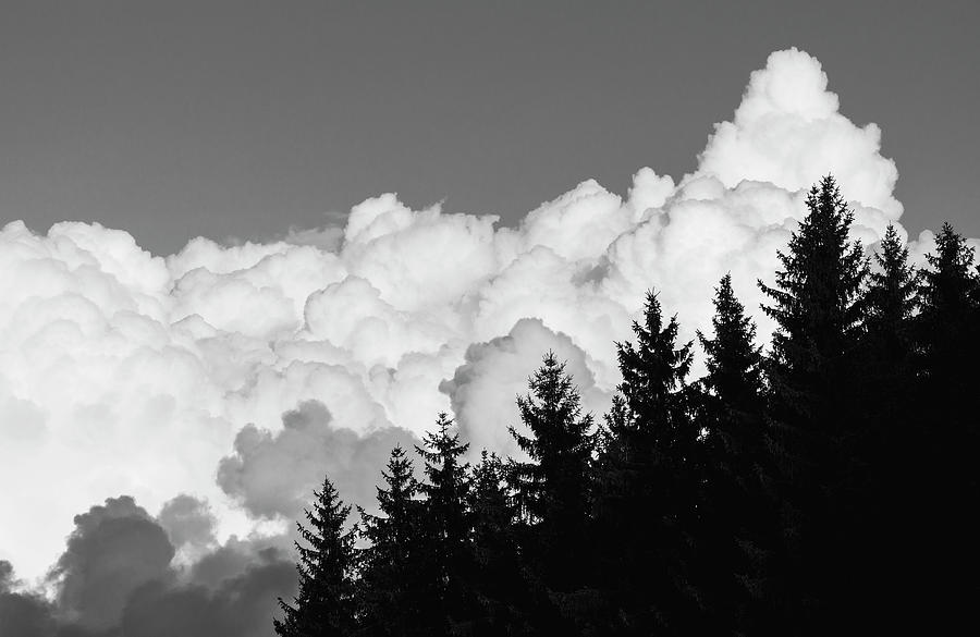 Clouds and Trees Photograph by Martin Vorel Minimalist Photography