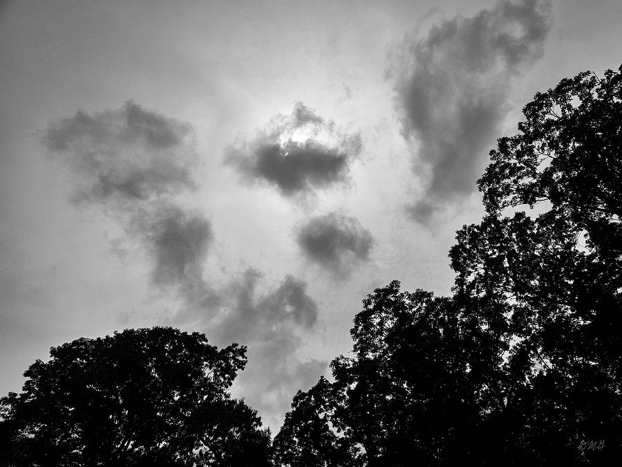 Clouds and Treetops BW Photograph by David Gordon
