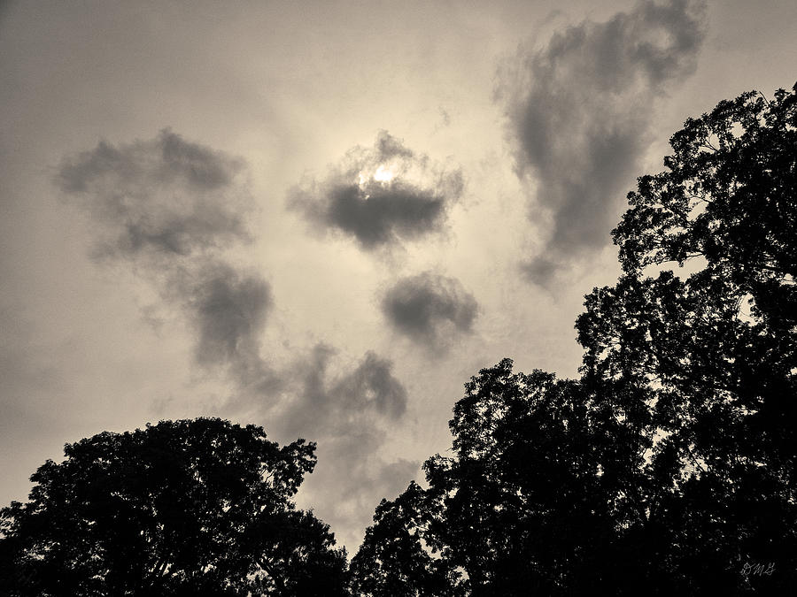 Black And White Photograph - Clouds and Treetops Toned by David Gordon