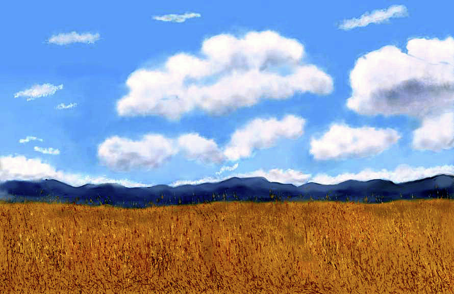 Clouds and Wild Oats Digital Art by Mary M Collins