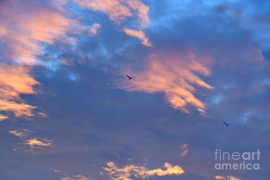 Clouds At Sunset August 7, 2023 Photograph by Sheila Lee Fine Art America