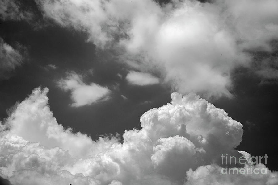 Clouds CCXXXVI Photograph by FineArtRoyal Joshua Mimbs