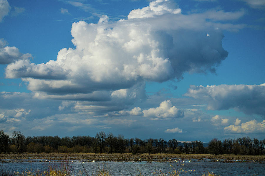 Clouds For Miles Photograph by Peggy McCormick