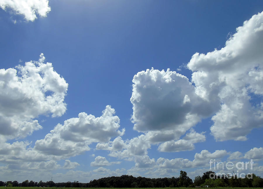 Clouds In The Blue Sky Photograph by D Hackett