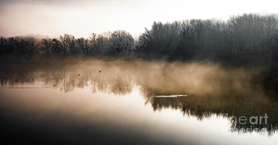 Clouds Of Mist Over The Watershed Of National Park River Danube Wetlands In Austria Photograph