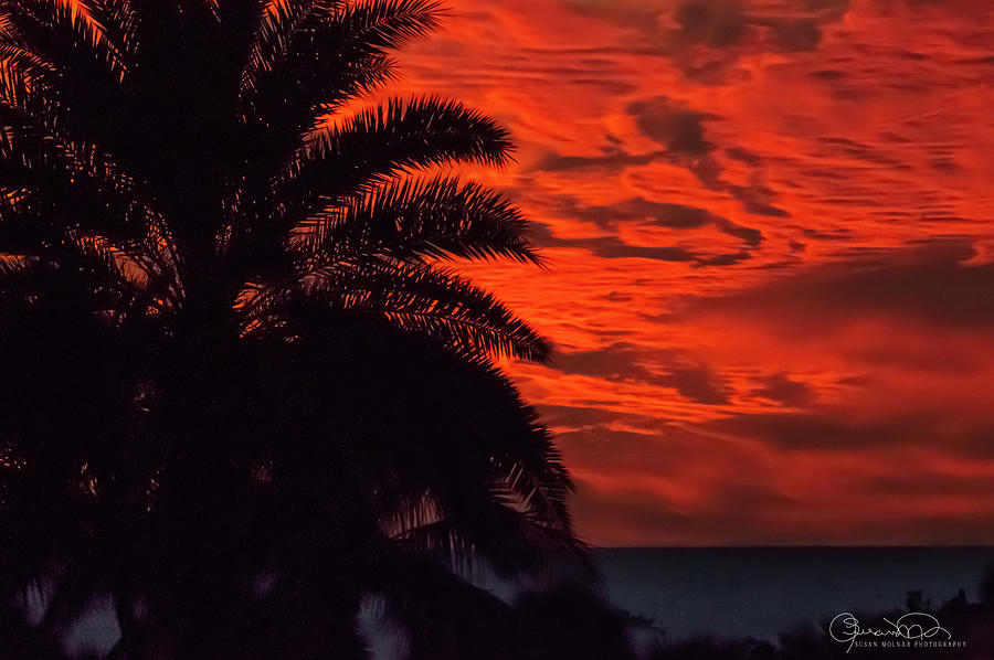 Clouds on Fire Photograph by Susan Molnar
