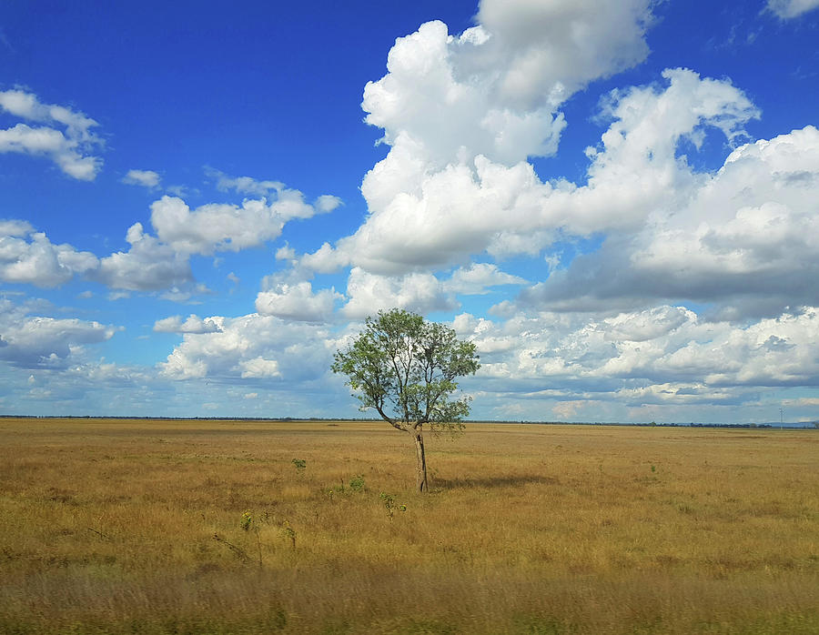 Clouds over a Lone Tree Photograph by Andre Petrov