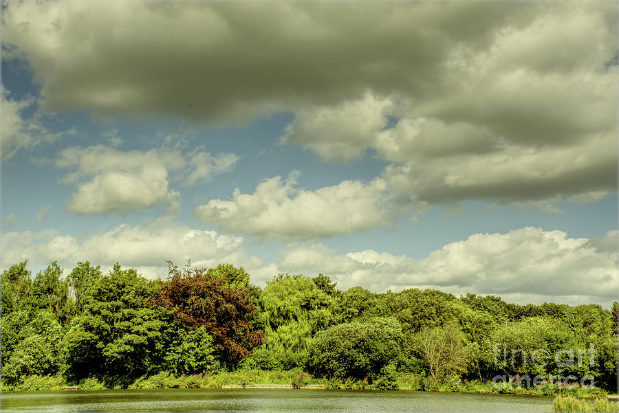 Clouds over Alkington Woods Photograph by Pics By Tony