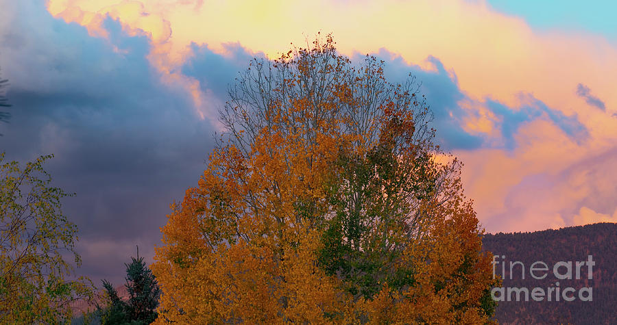 Fall Photograph - Clouds Over Aspen Gold by Jim Wilce