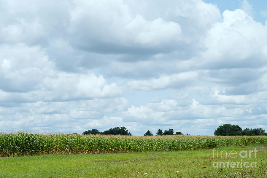 Clouds Over Cornfield Photograph